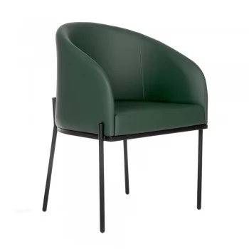 xx_shell-verde1-83e2a01e20cc53f6a6603978010fb571.webp